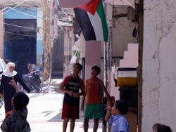 الفلسطيني في المرآة اللبنانية 