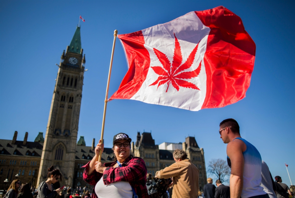 كندا تشرّع الماريجوانا