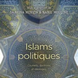 (فهم) الإسلام السياسي... إشكالية فرنسية