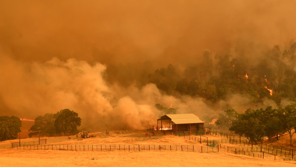 النيران أتت على مليون هكتار من الأراضي في الولايات المتحدة