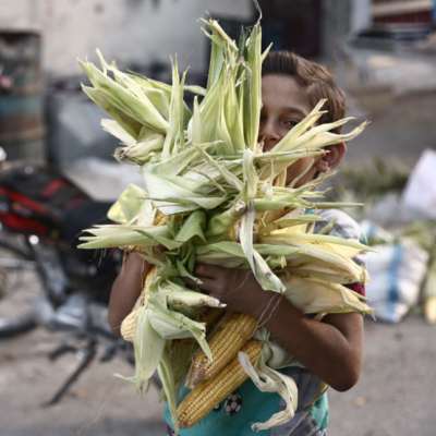 «نزوح» من الزراعة إلى «مهن الربح السريع»... من يزرع أرض الشرقية؟