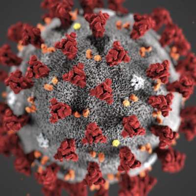 فيروسٌ يقاوِم فيروساً: علاج محتمل للوباء؟