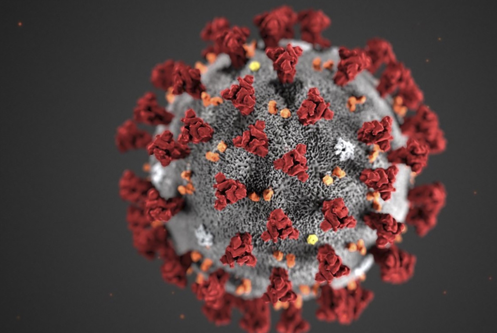 فيروسٌ يقاوِم فيروساً: علاج محتمل للوباء؟