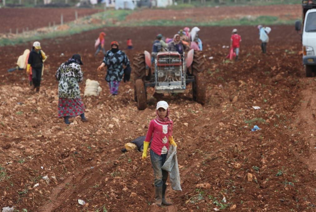 الزراعة والنفايات: دولارات لبنان في الأسمدة العضوية!