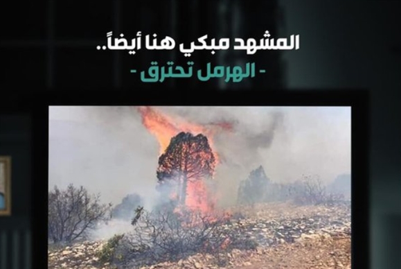 #الهرمل_تحترق: «المشهد هنا مبكٍ أيضاً»!