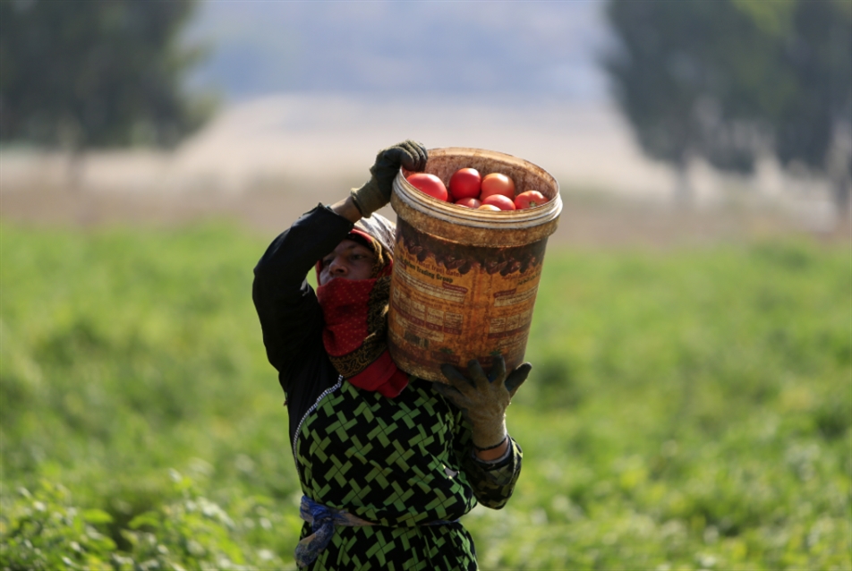 السعودية تحظر استيراد المنتجات الزراعيّة اللبنانيّة: مملكة الحصار الاقتصادي