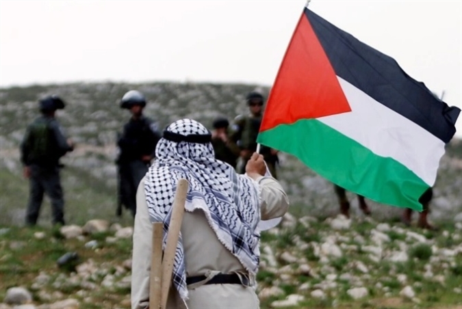 BDS مصر: وقفة رقميّة مع فلسطين