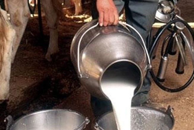 «الزراعة» تحدّد سعر كيلو الحليب الطازج عند 6500 ليرة