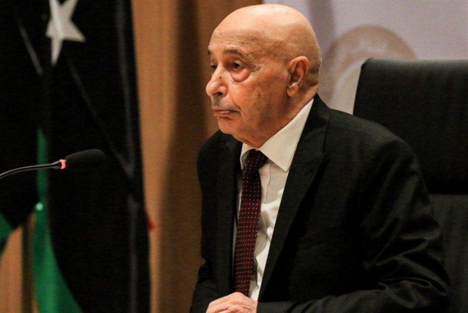 ليبيا | صالح يُحذّر من حكومة موازية: لدينا إعلان دستوري