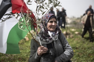 حركات التحرّر بين فلسطين والعالم