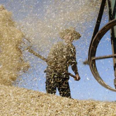 200 طن هبة من «الفاو» و«المنظمة العربية للتنمية»: محاولات جديدة لعرقلة مناقصة القمح