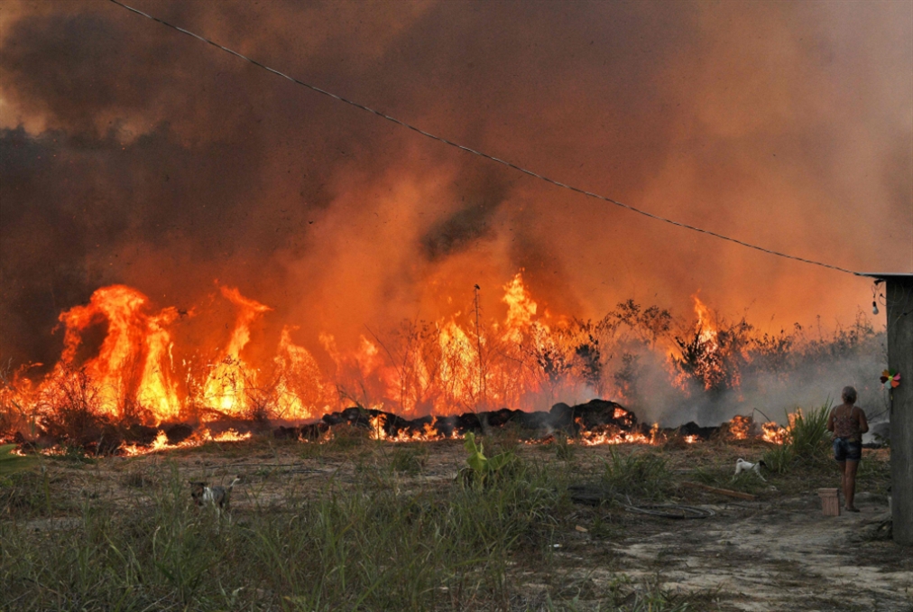 غابات الأمازون تسجّل عدداً قياسياً من الحرائق
