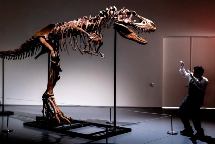 ديناصور نادر في «سوذبيز»