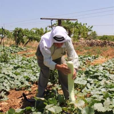 رزان زعيتر: نحن «مقاومة خضراء»