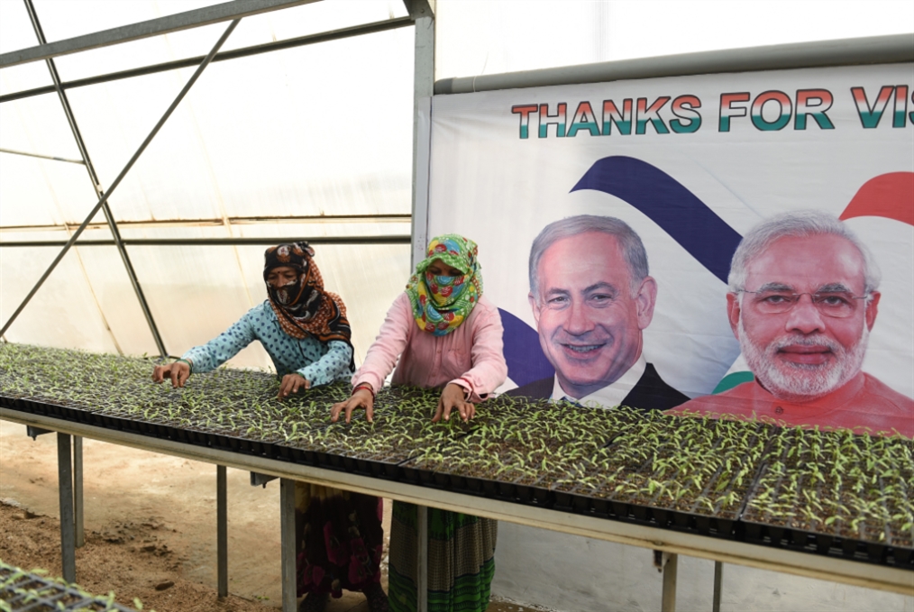 إسرائيل بلا عمال: نحو الاستعانة بالهند