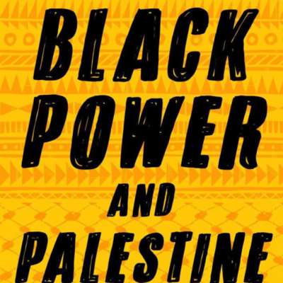 أثر القضية الفلسطينيّة في الحركة السوداء الأميركيّة
