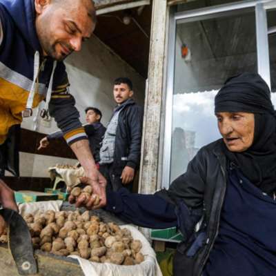 موسم البحث عن «الكمأة»: السوريون يشترون "الرزق" بدمائهم 