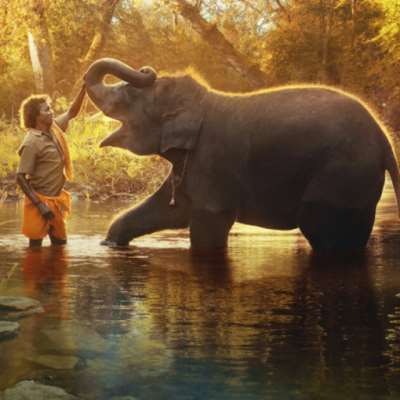 الفيل اليتيم «راغو» أخذنا إلى إنسانيتنا