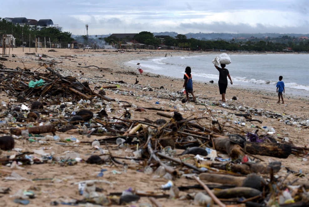 اكتشاف أنواع ساحلية «تستوطن» النفايات البلاستيكية في المحيط الهادئ