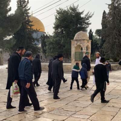 دعوات فلسطينية إلى إفشال اقتحامات المستوطنين للمسجد الأقصى