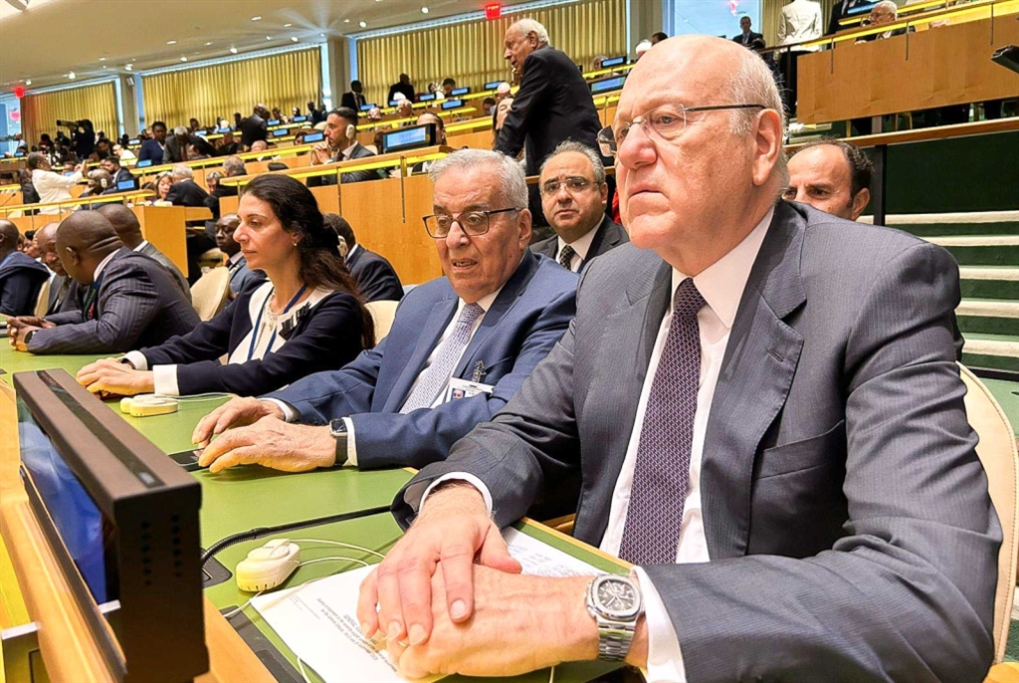 إجراء سياسي كيدي... وعديم المسؤولية: بو حبيب يعاقب مندوبة لبنان في الأمم المتحدة