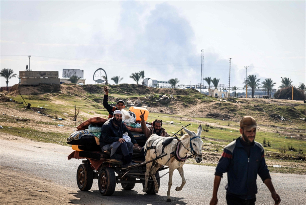 حمير غزّة والأنظمة العربية