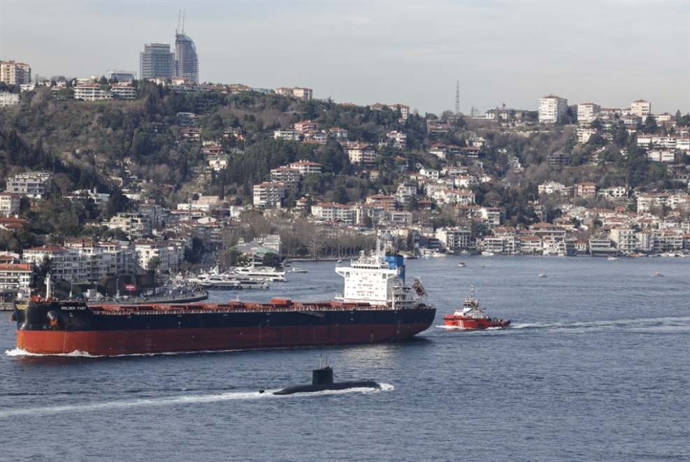 1000 سفينة إلى إسرائيل منذ أكتوبر: تركيا تواصل انفصامها