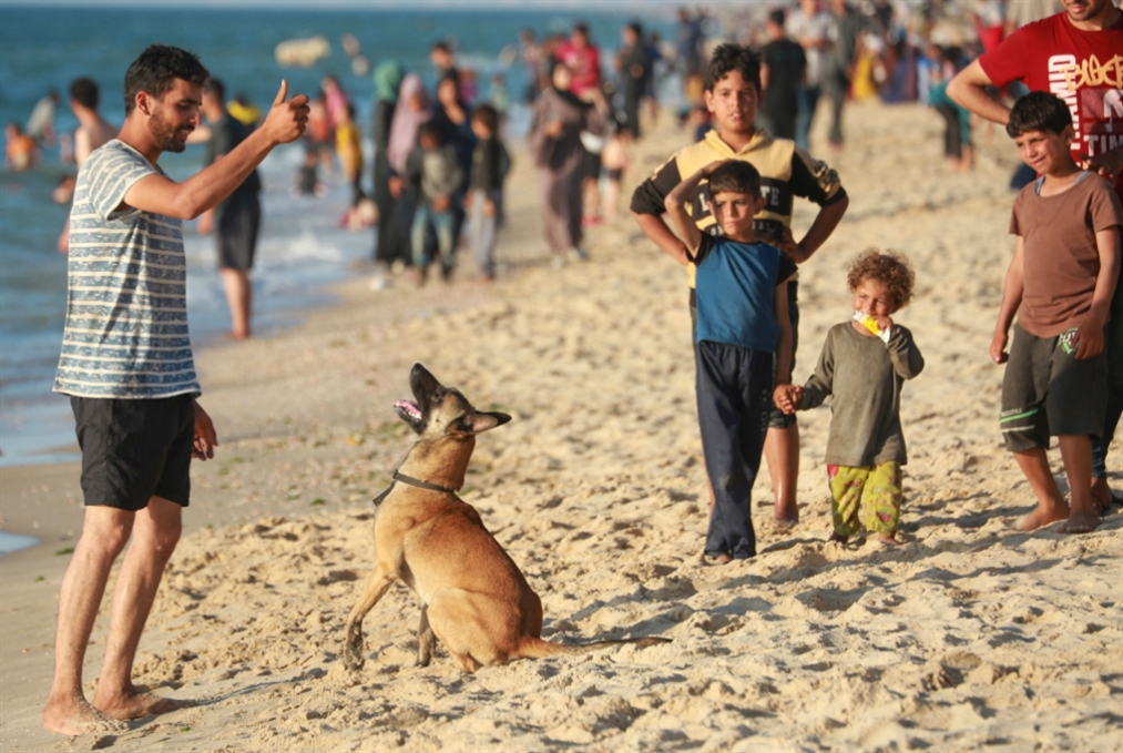 تبدّد أحلام العدوّ: شمال غزة يستعيد الحياة