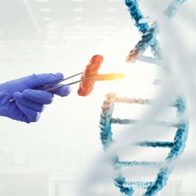 دور الحمض النووي في كشف الـجرائم