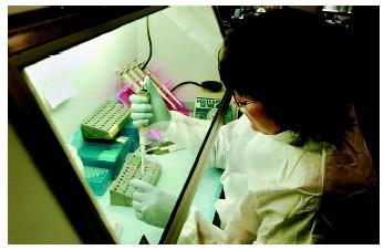 المختبرات الجنائية: :دراسة العينات المجهرية من خلال التدقيق بالتحليلات الاحصائية لترددات جينية مبنية على ملخص للحمض النووي
