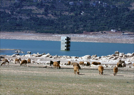 الجفاف يضرب بحيرة القرعون (عفيف دياب)