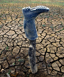 الجفاف يضرب العالم نتيجة التغير المناخي (أرشيف ــ رويترز)
