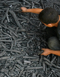 عدد كبير من عائلات طرابلس ستعتمد الفحم هذه السنة (مروان طحطح)