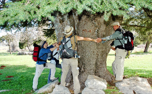مشاركون في المشروع يحيطون بشجرة في سهل القمّوعة (الصور من إيكوديت)