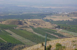 موقع تل القمح - صورة من الحدود اللبنانية