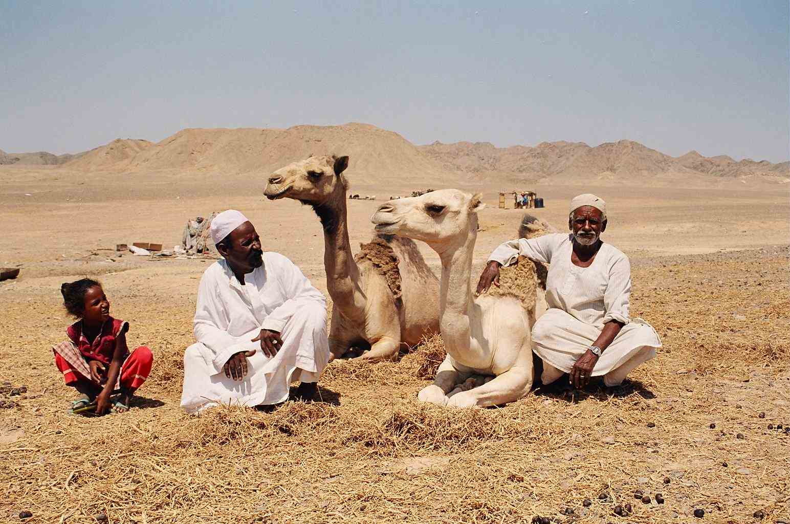 بدو في سيناء (أرشيف)