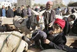 فلسطينيّون في سوق للحمير في شرق غزّة أمس (ابراهيم أبو مصطفى ـ رويترز)