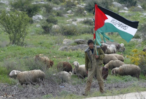 راعٍ فلسطيني يحمل علم بلاده في جنين في الضفّة الغربيّة أمس (رويترز)