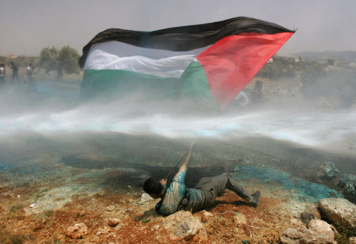 العلم الفلسطيني بيد متظاهر ضد جدار الفصل في رام الله (ناصر شيوخي - أ ب)