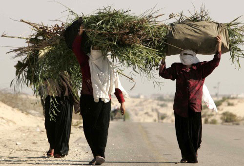 فلسطينّيات يعدن إلى منازلهنّ بعد العمل في جنوب قطاع غزّة أمس (إبراهيم أبو مصطفى ـ رويترز)