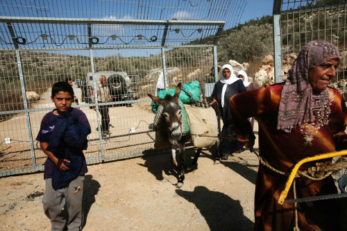 فلسطينيون يغادرون مستوطنة إيتامار بعد قطف الزيتون أمس (مناحيم كاهانا ــ أ ف ب)