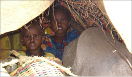 طفلان صوماليان ينامان في عربة حمار اثناء هربهما من بيداوة الى مقديشو امس (أ ب)
