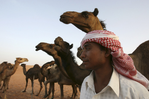 سعودي في صحراء الشيبة (يوسف ديوبسي - رويترز)