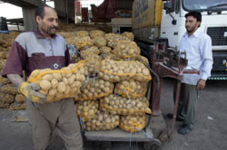 عراقي ينقل أكياس البطاطا إلى مدينة الصدر بعد فكّ جزئي للحصار عنها أمس (أحمد الربيعي ـ أ ف ب)