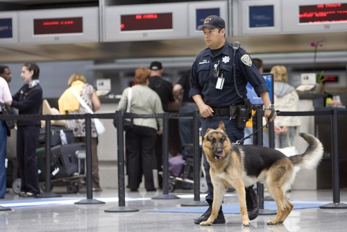 إجراءات أمنية مشددة في مطار سان فرانسيسكو أول من أمس (دايفيد باول موريس - أ ف ب)