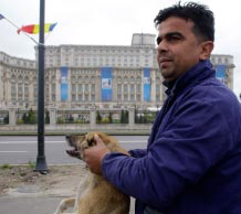 يمسك بكلب شارد أمام القصر الرئاسي في بوخارست (بوغدان كريستل ـــ رويترز)