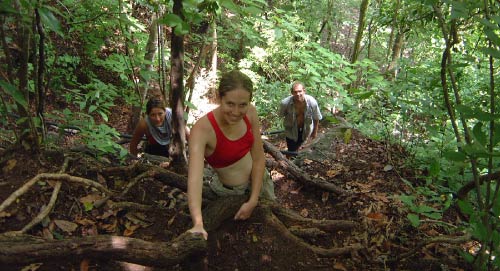 لأسباب سياسية تتضاءل المساحات الخضراء في لبنان، لذلك تجدر زيارة غابات كوستاريكا.