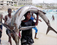 طفل صومالي يحمل سمكة قبالة سواحل مقديشو (اسماعيل عبدي - رويترز)