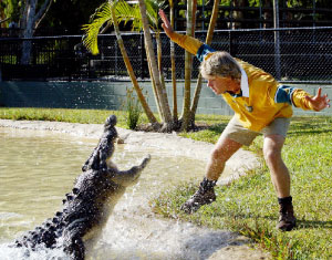 ستيف إيروين يلاعب تمساحاً في حديقته (أ ب)