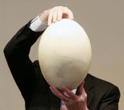 أثناء عرض البيضة للصحافيين في «معرض تشلسي» (شون كوري ــ أ ف ب)